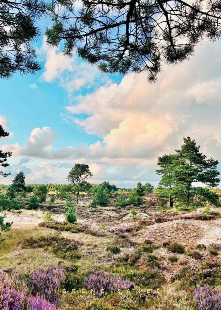 Grene Sande plakat